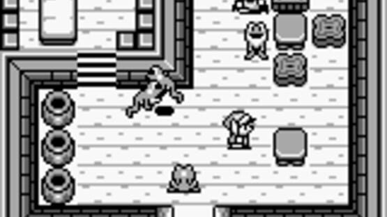 Screenshot for The Legend of Zelda: Link's Awakening