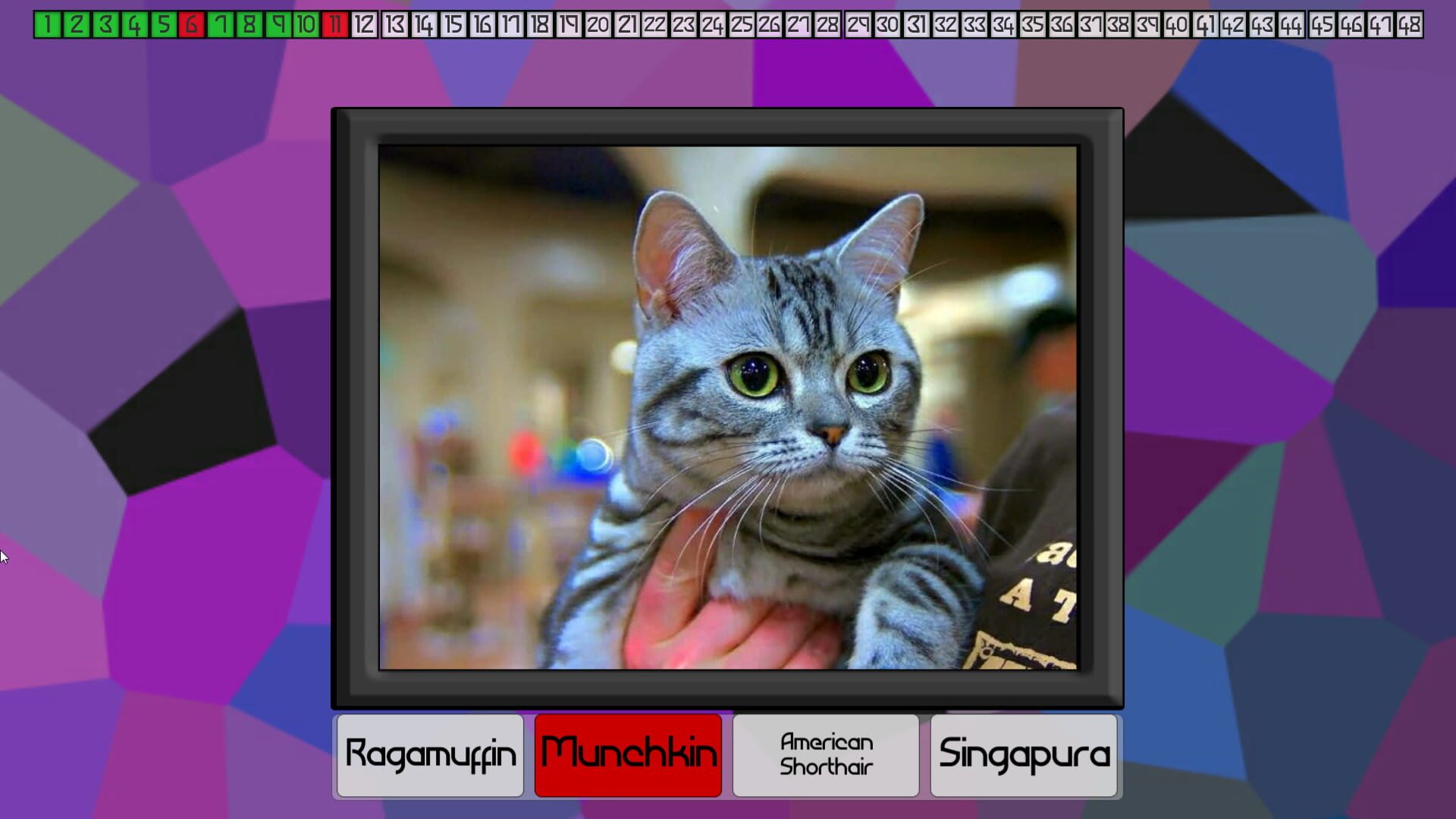 Screenshot for Test Your Knowledge: Cats