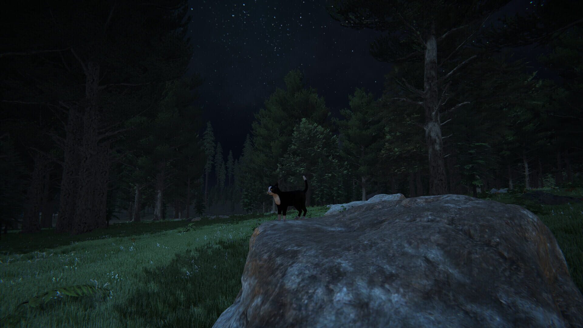 Screenshot for Cat Life