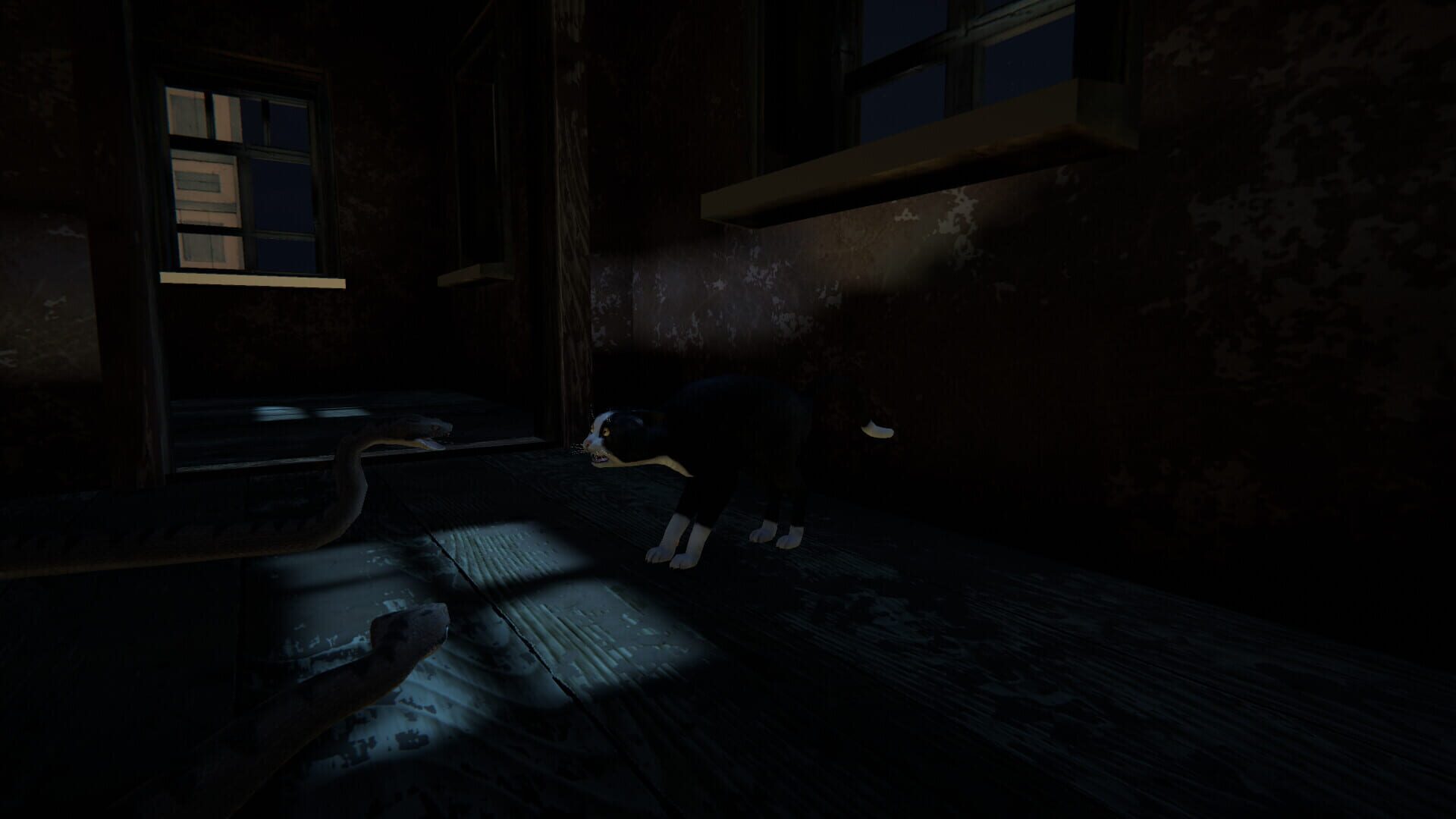 Screenshot for Cat Life