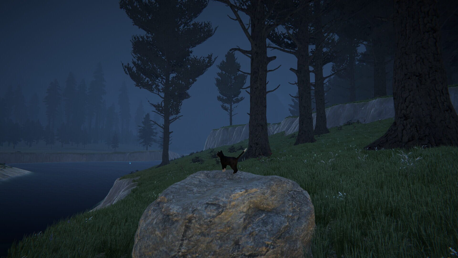 Screenshot for Cat Life