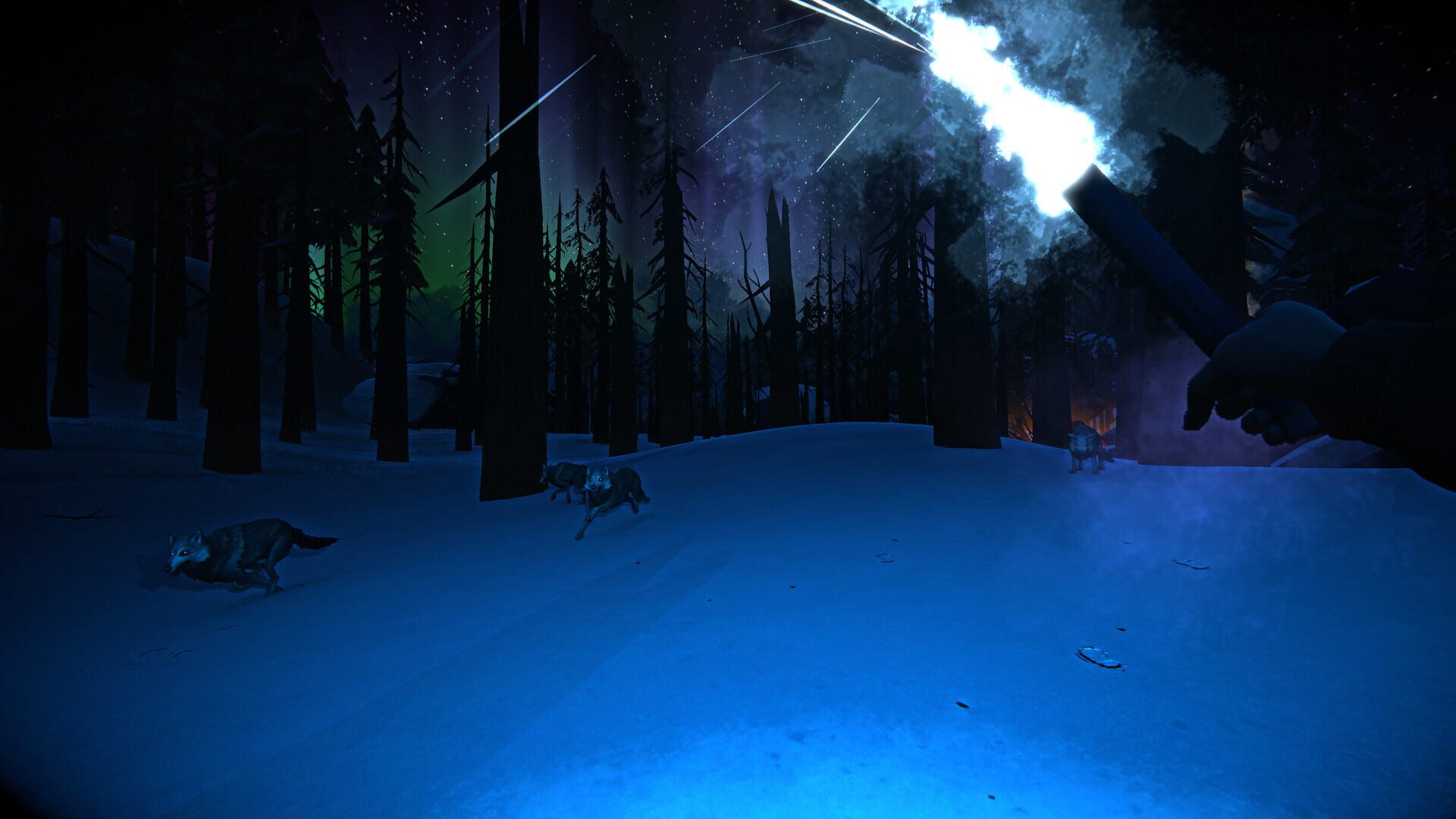 Screenshot for The Long Dark: Wintermute