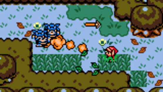 Screenshot for The Legend of Zelda: Link's Awakening DX