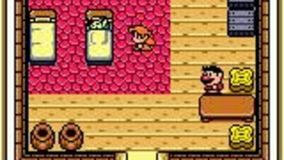 Screenshot for The Legend of Zelda: Link's Awakening DX
