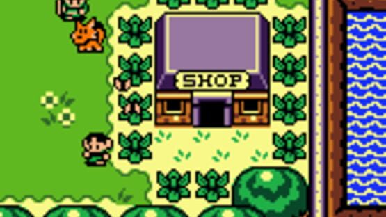 Screenshot for The Legend of Zelda: Link's Awakening DX