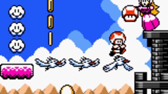 Screenshot for Turtle Bridge