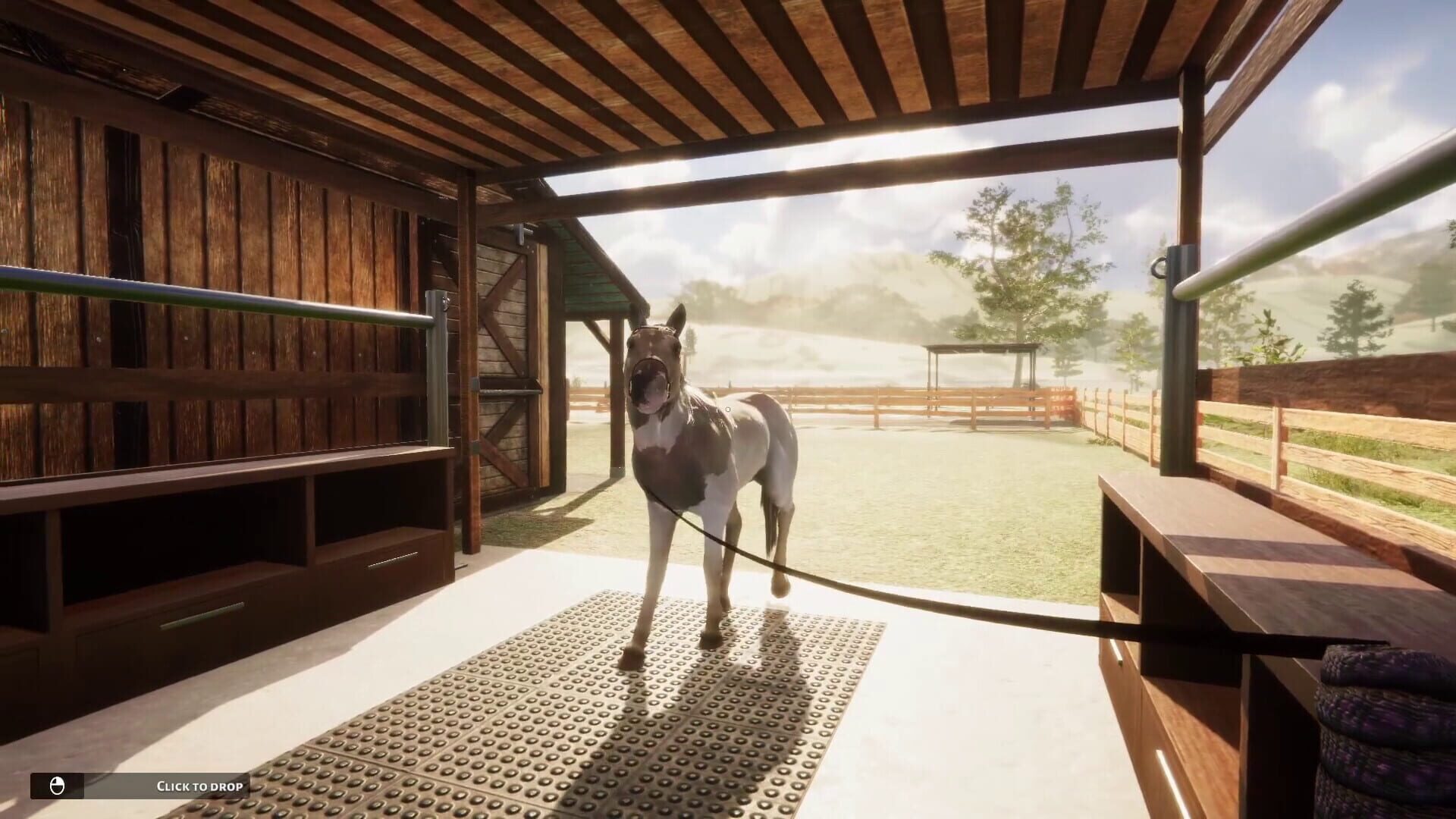 Screenshot for Animal Shelter Simulator: Horse Shelter DLC