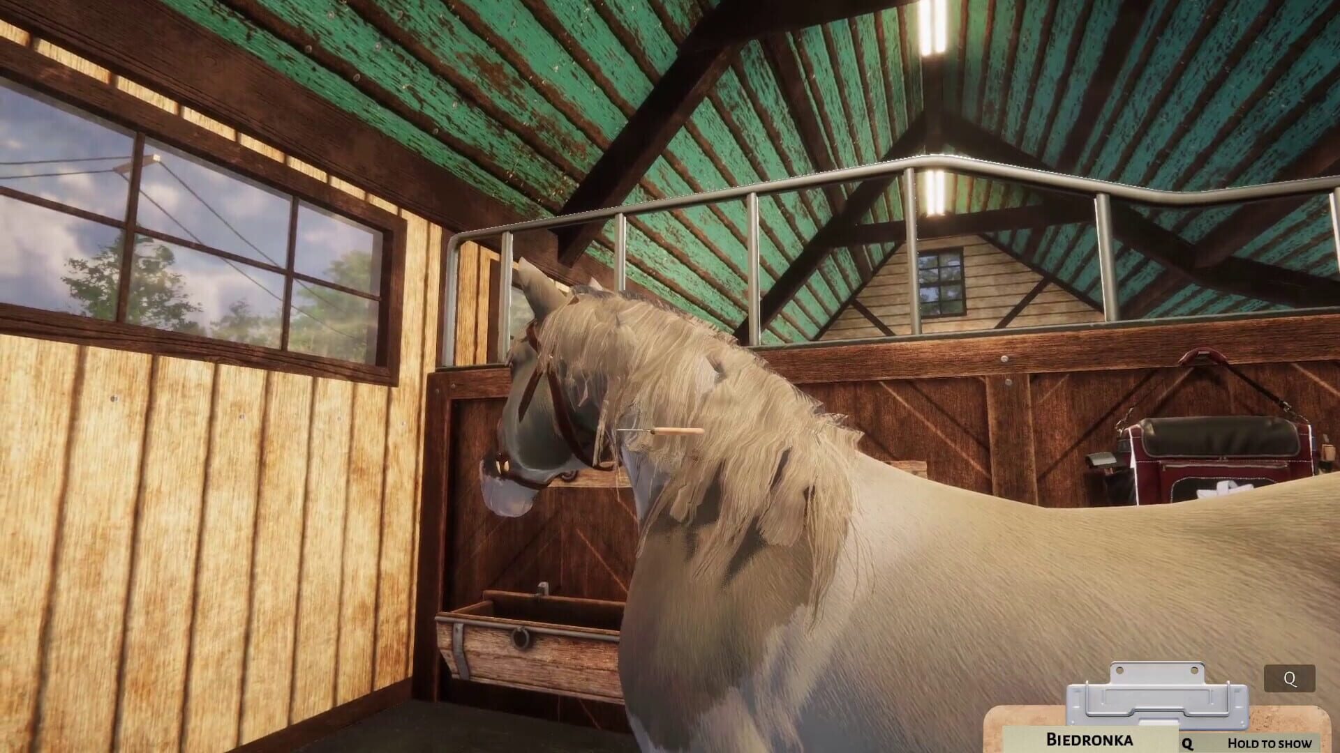 Screenshot for Animal Shelter Simulator: Horse Shelter DLC