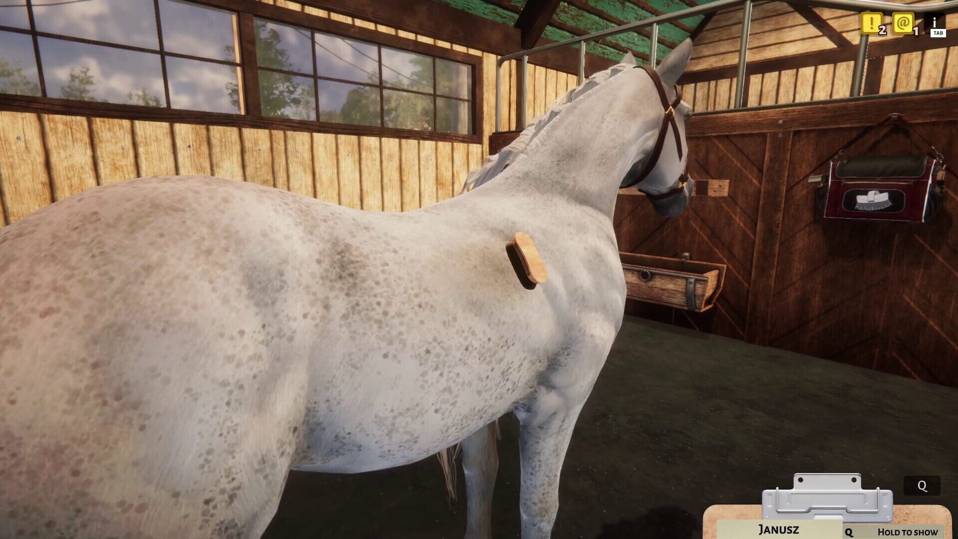 Screenshot for Animal Shelter Simulator: Horse Shelter DLC