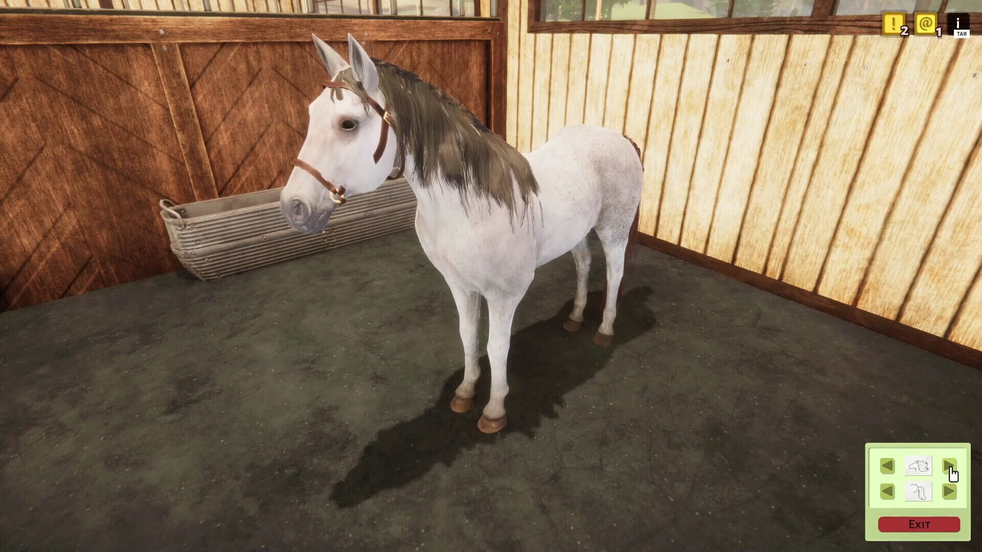 Screenshot for Animal Shelter Simulator: Horse Shelter DLC
