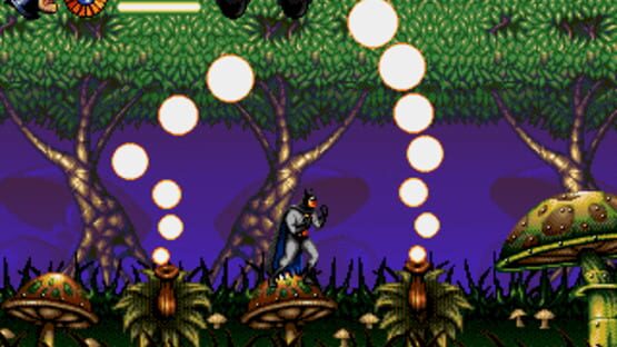 Screenshot for The Adventures of Batman & Robin