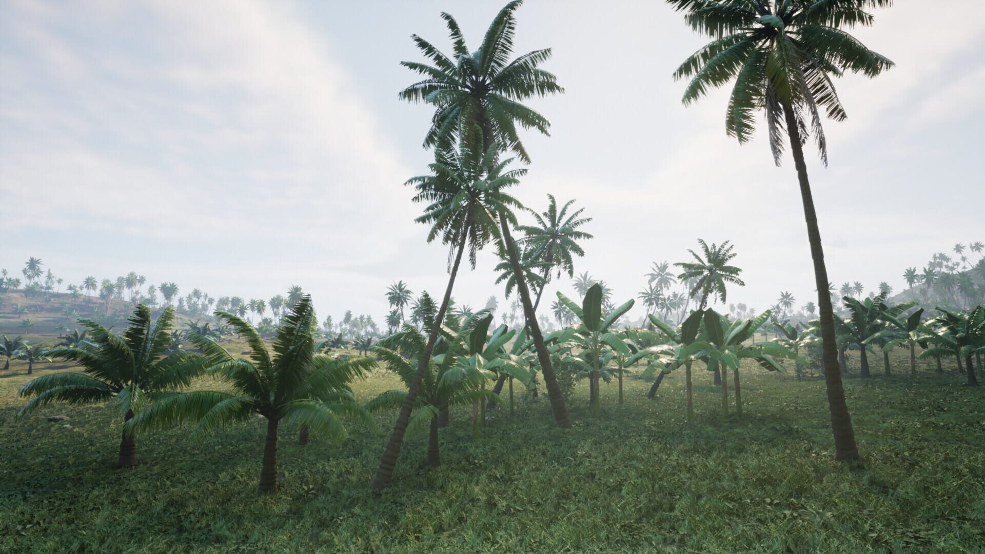 Screenshot for Pirates Journey