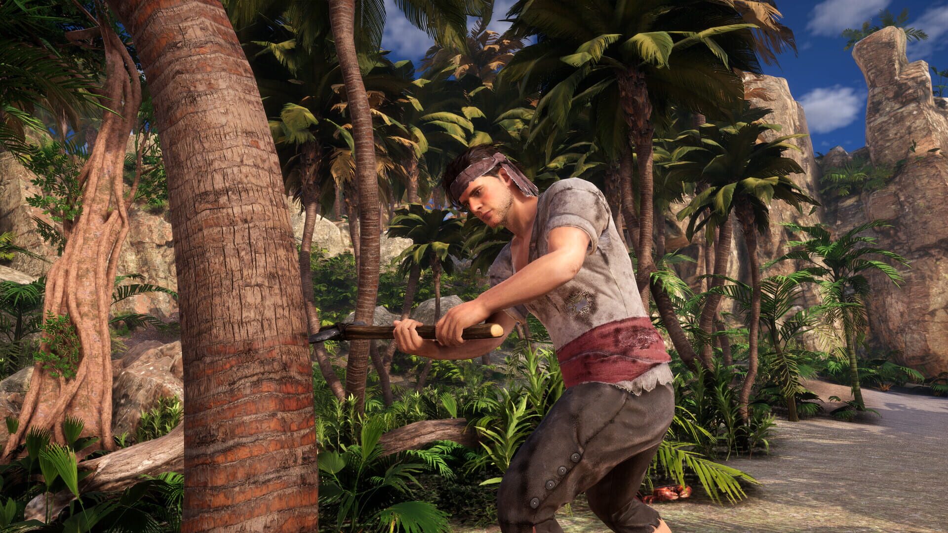 Screenshot for Pirates Republic