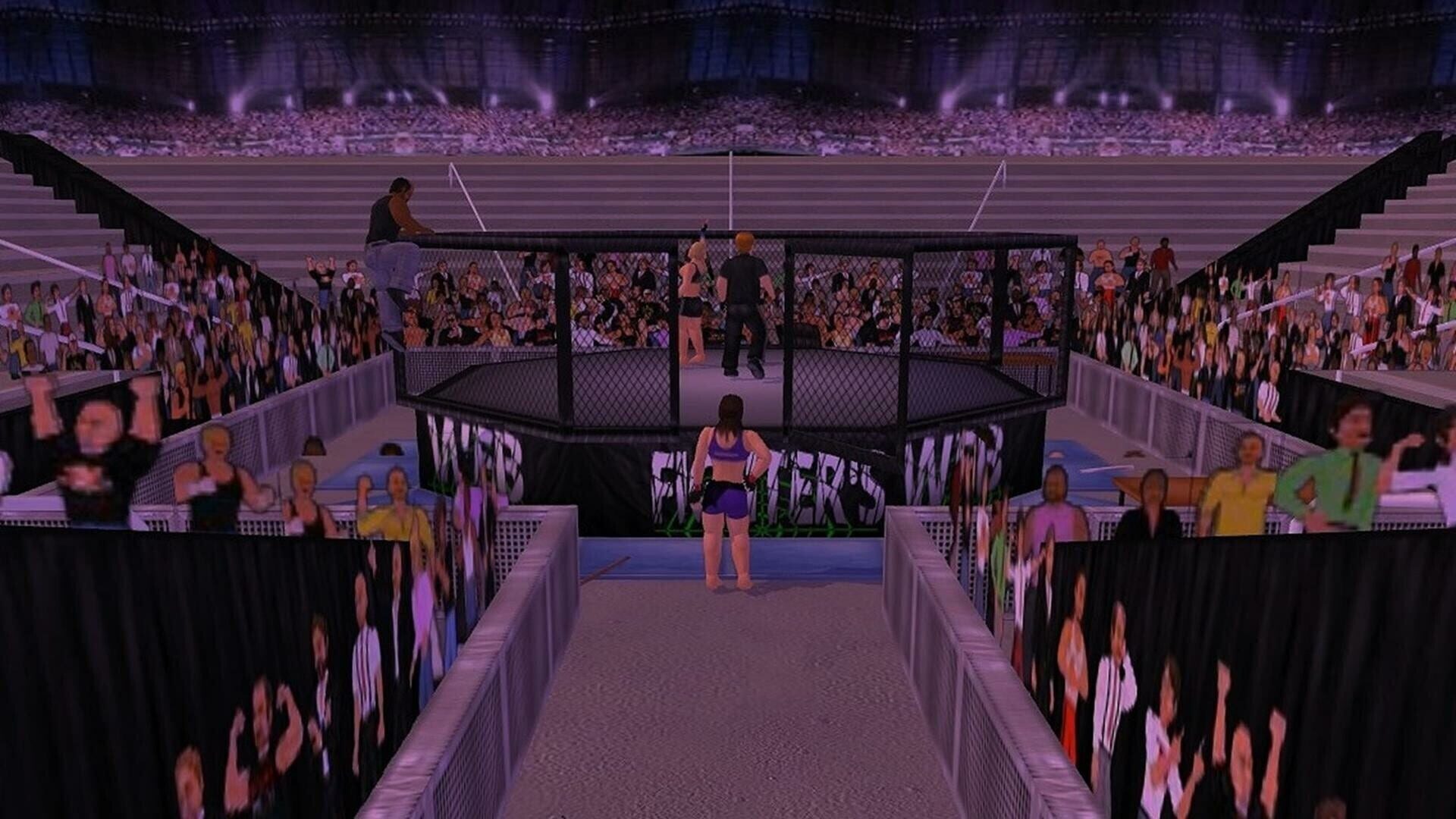 Screenshot for Weekend Warriors MMA