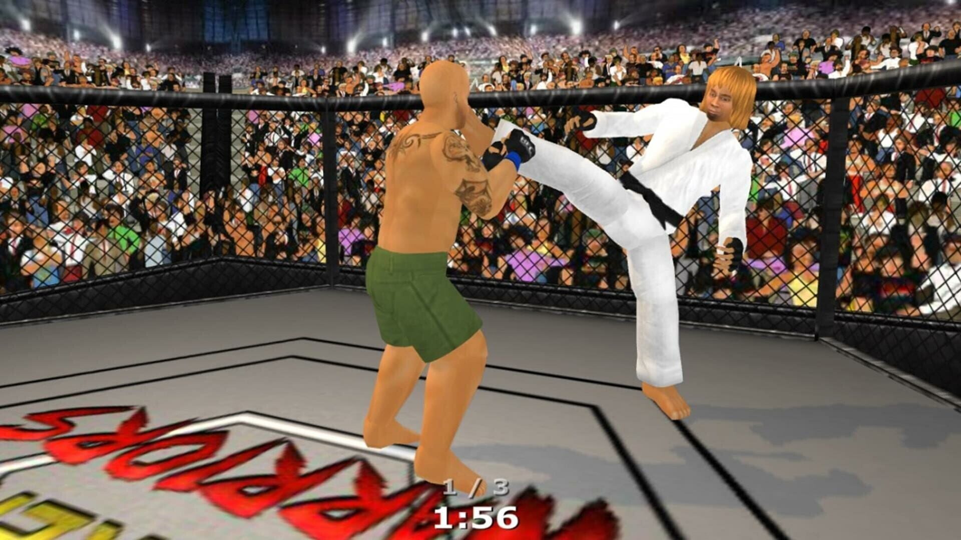 Screenshot for Weekend Warriors MMA