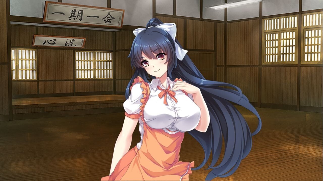 Screenshot for Pretty Girls Breakers! Plus