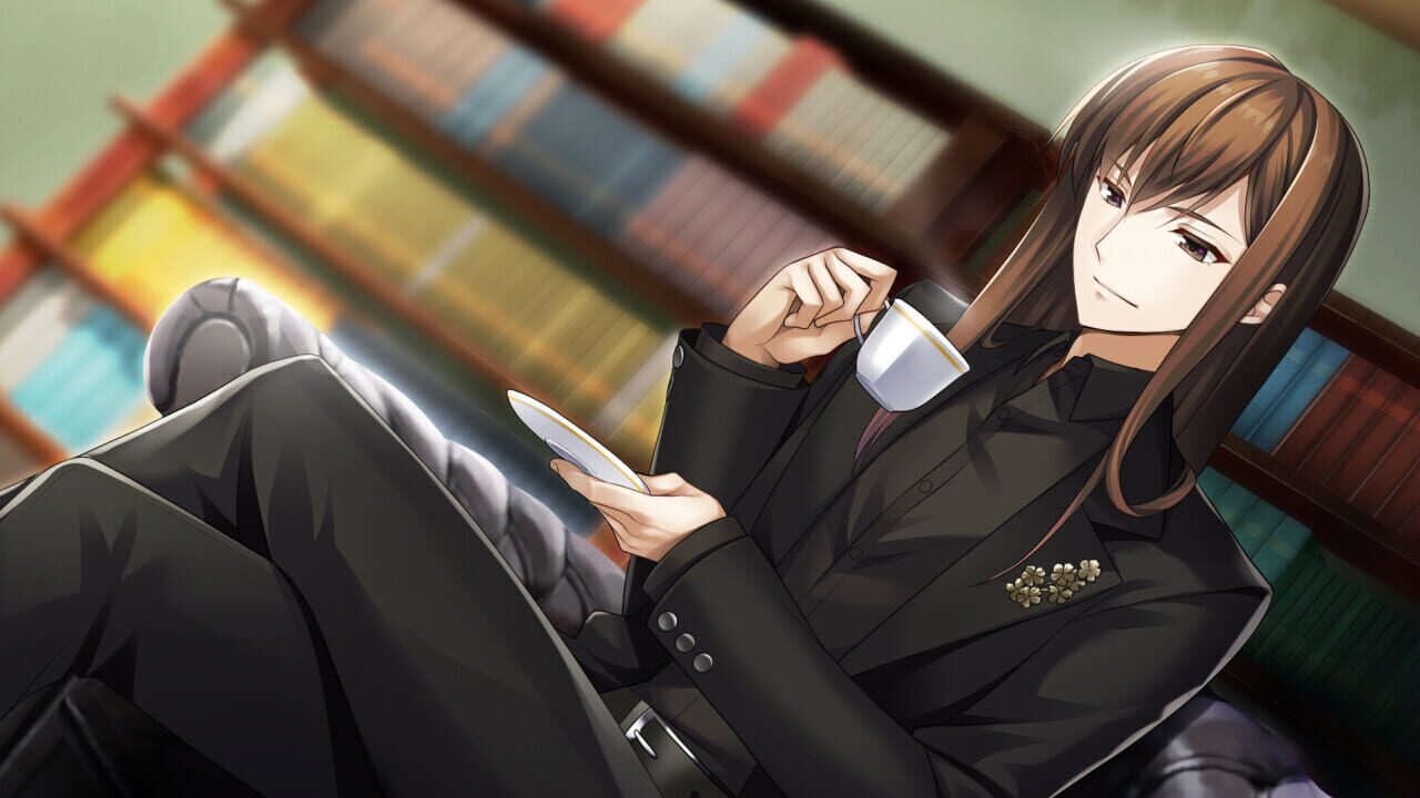 Screenshot for Hiyoku no Tori