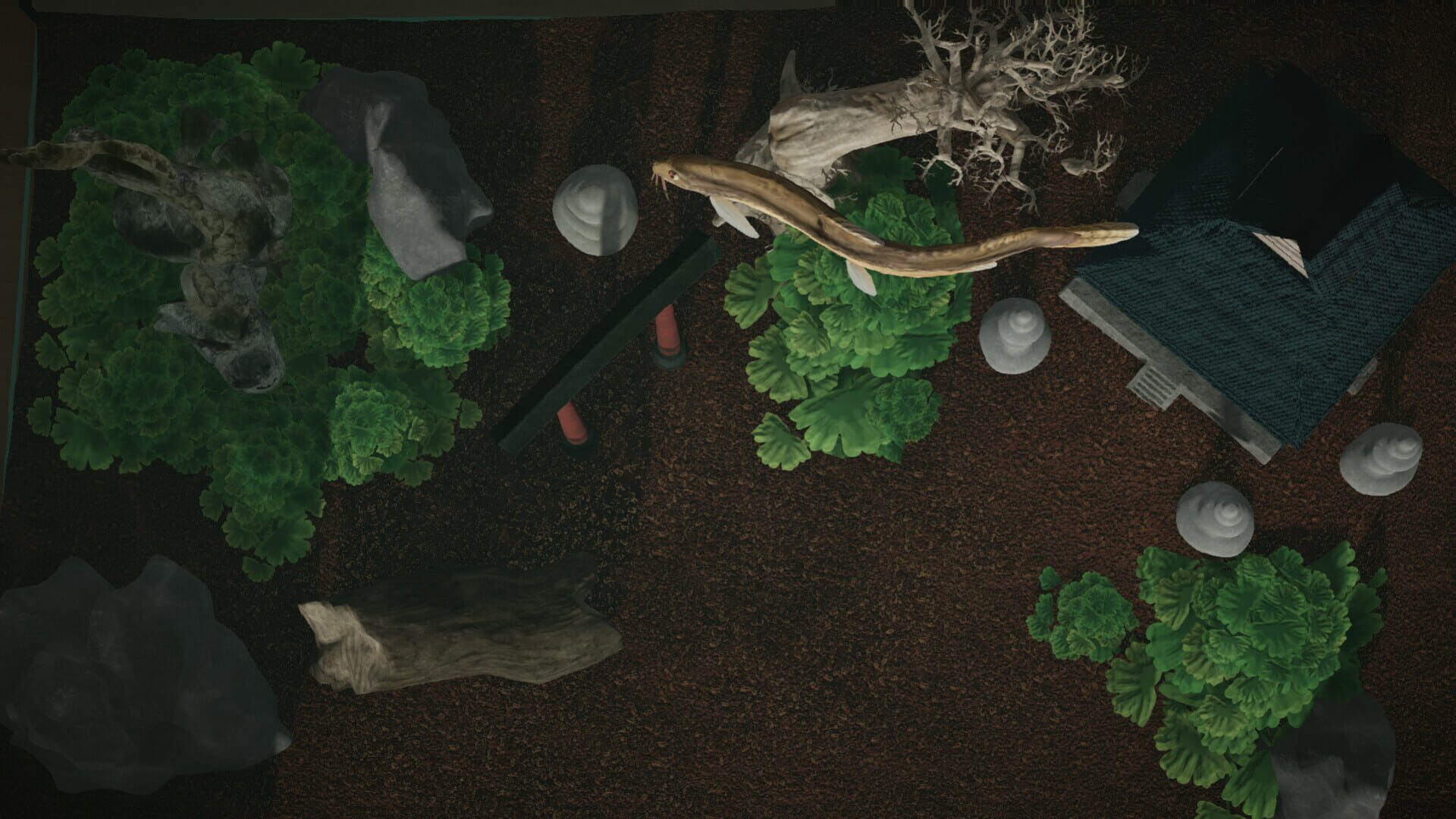 Screenshot for Aquarium Designer: Japan