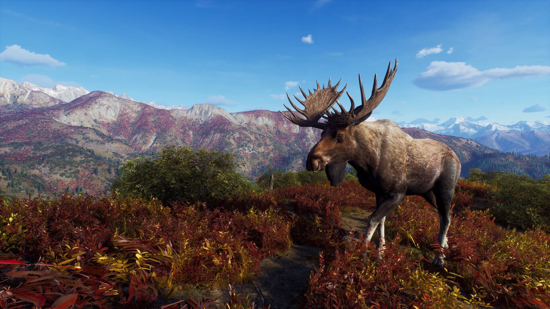 Screenshot for Way of the Hunter: Aurora Shores