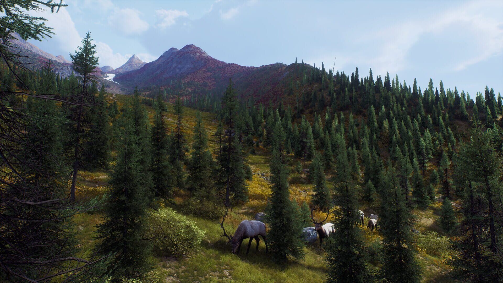 Screenshot for Way of the Hunter: Aurora Shores