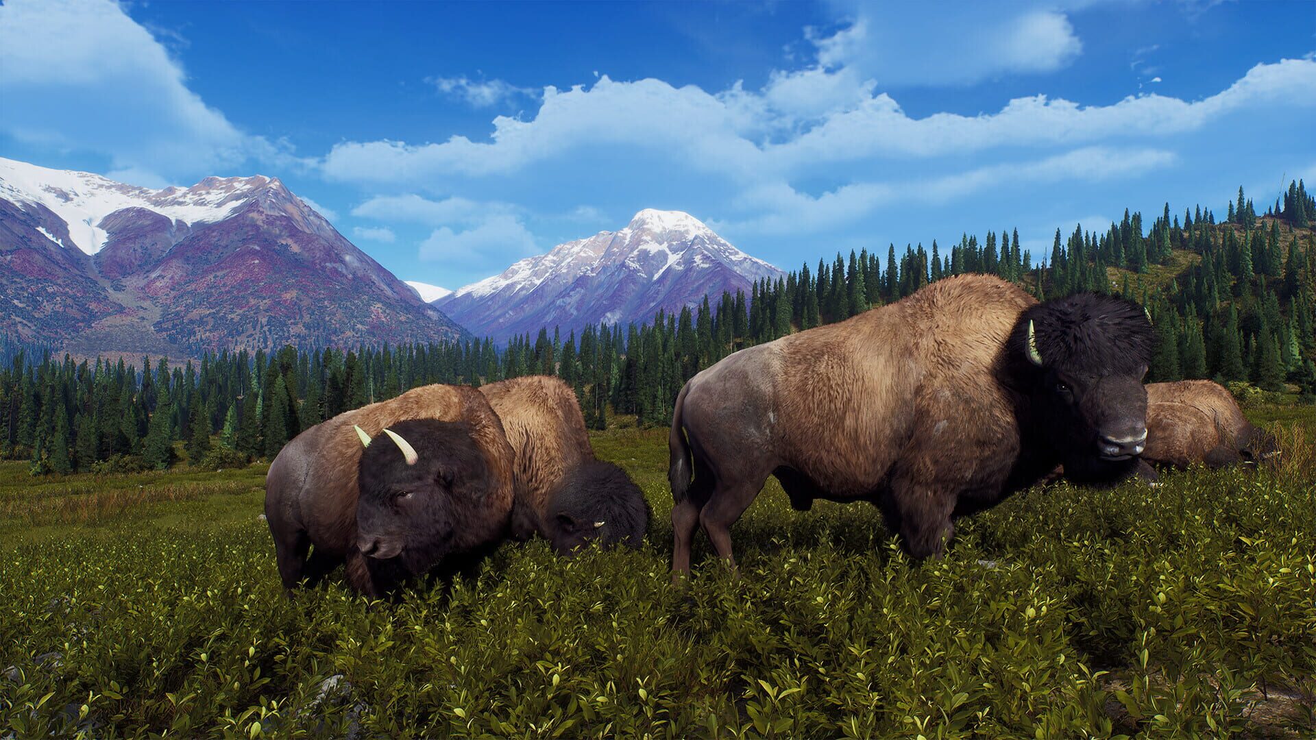 Screenshot for Way of the Hunter: Aurora Shores