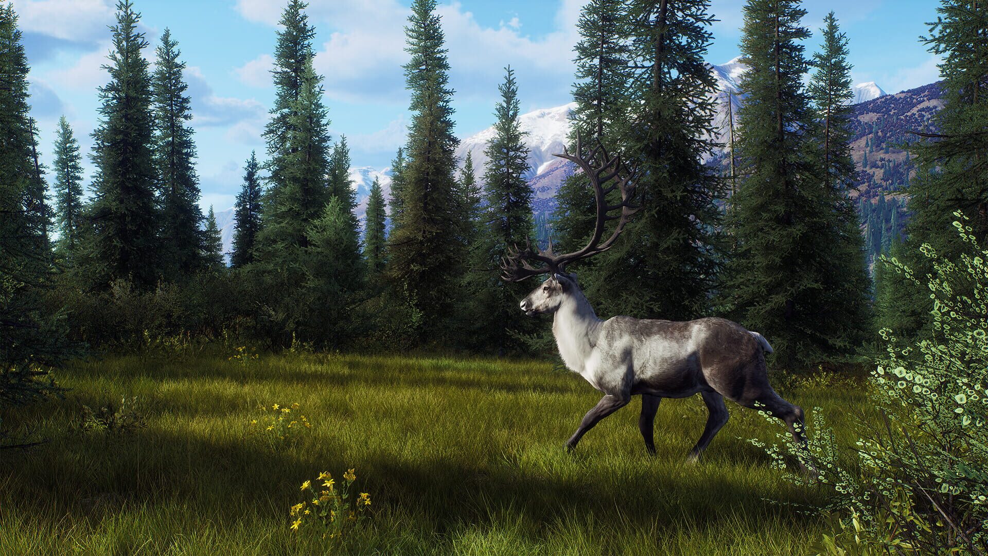 Screenshot for Way of the Hunter: Aurora Shores