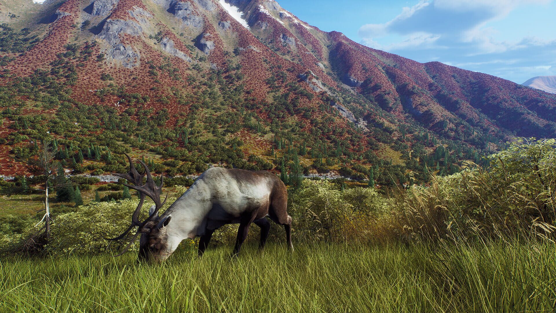 Screenshot for Way of the Hunter: Aurora Shores