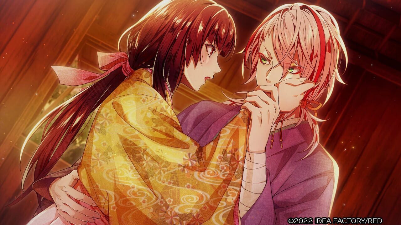 Screenshot for Birushana Senki: Ichijuu no Kaze