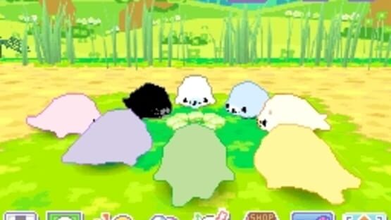 Screenshot for Mamegoma 3: Kawaii ga Ippai!