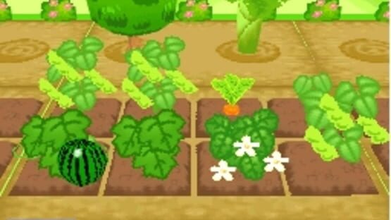 Screenshot for Mamegoma 3: Kawaii ga Ippai!