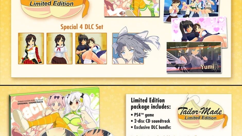 Screenshot for Senran Kagura Burst Re:Newal