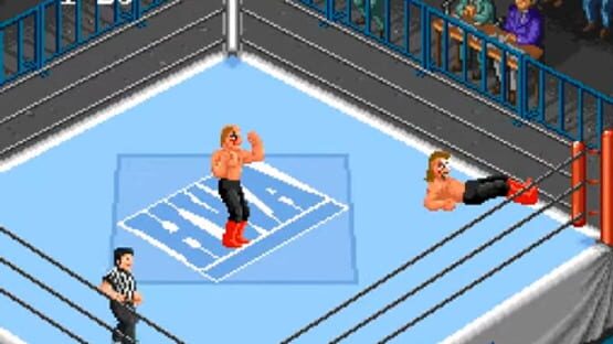 Screenshot for Super Fire Pro Wrestling