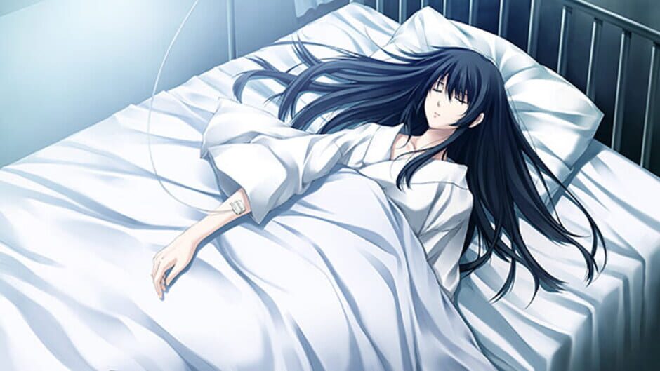 Screenshot for Cartagra: Tsuki Kurui no Yamai - Rebirth FHD Size Edition