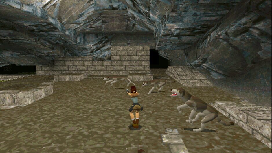 Screenshot for Tomb Raider