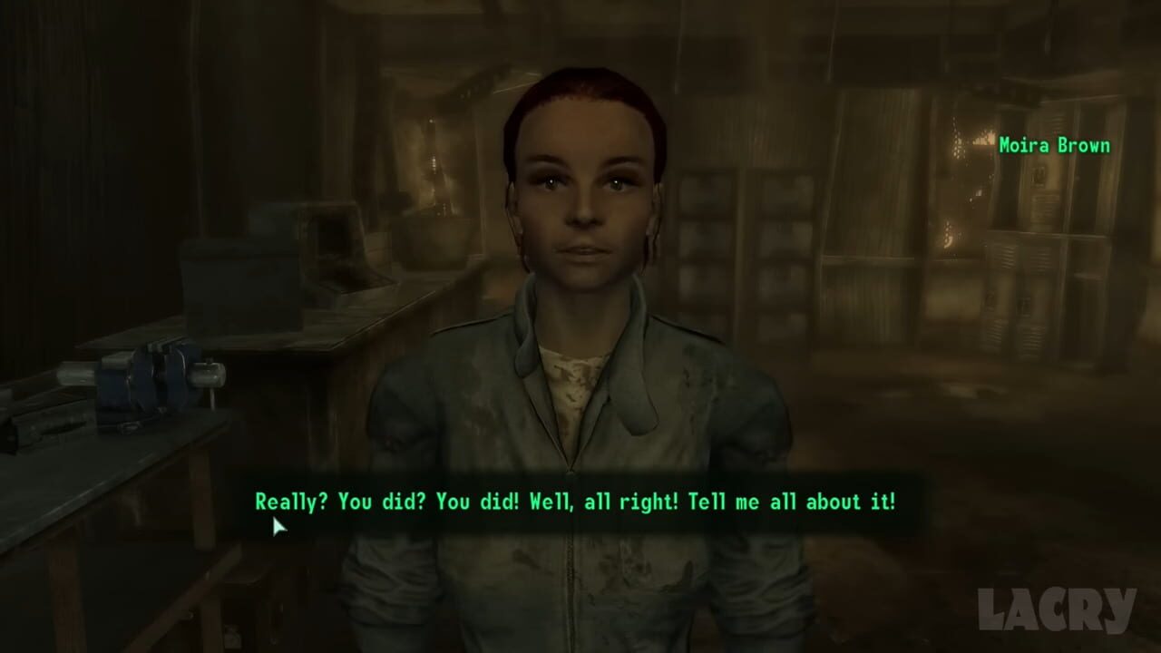 Screenshot for Fallout 3