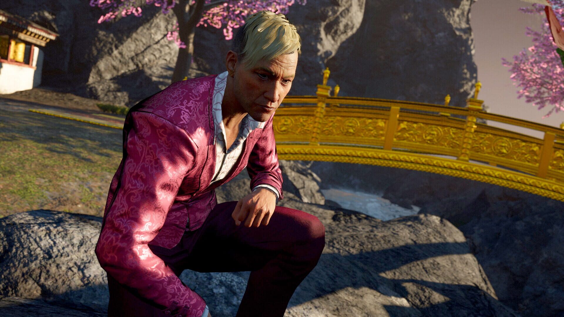 Screenshot for Far Cry 6: Control