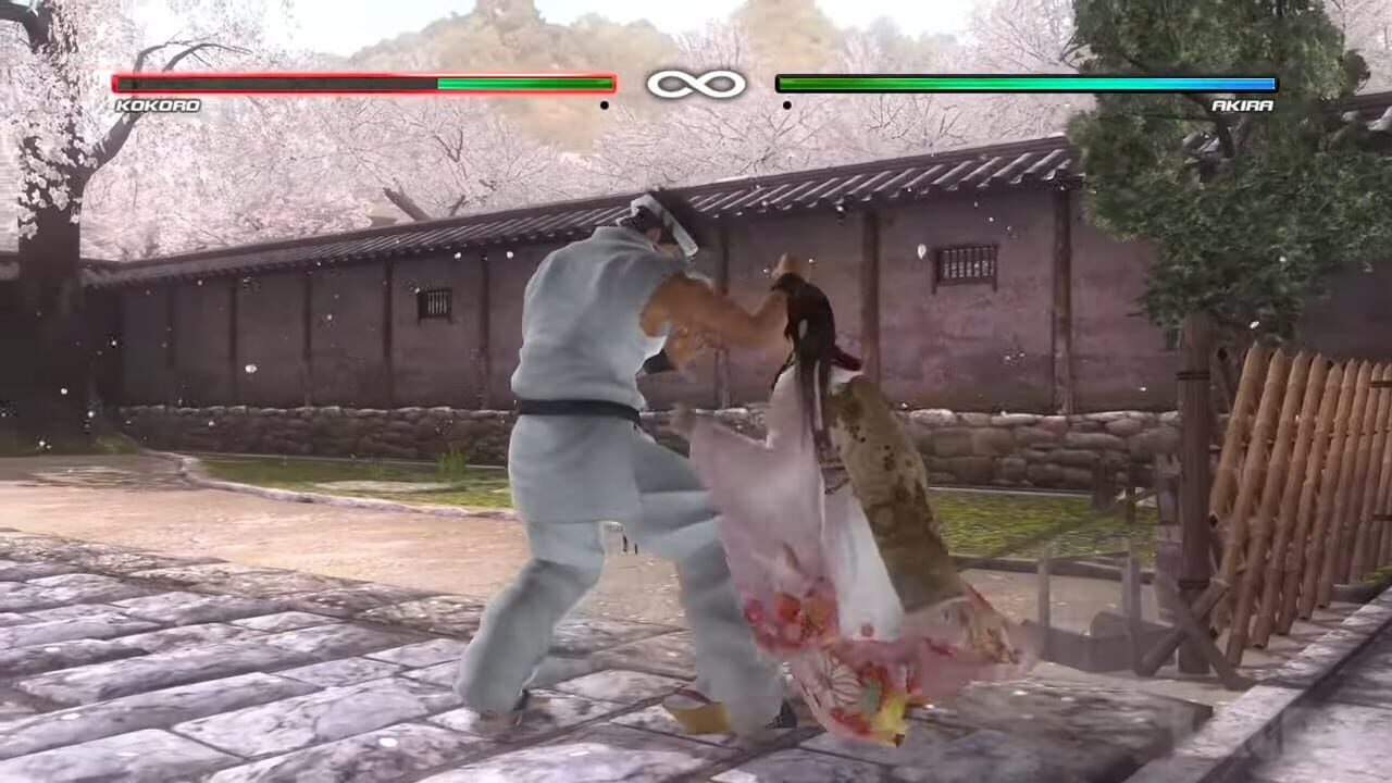 Screenshot for Dead or Alive 5