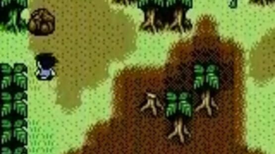Screenshot for Survival Kids
