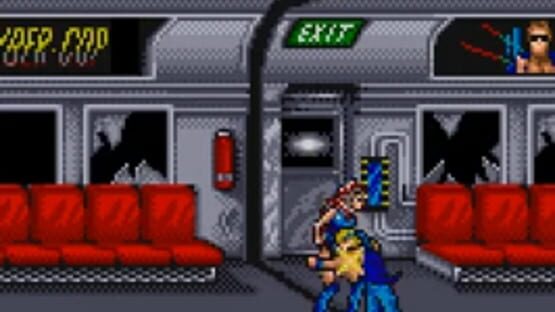 Screenshot for Double Dragon