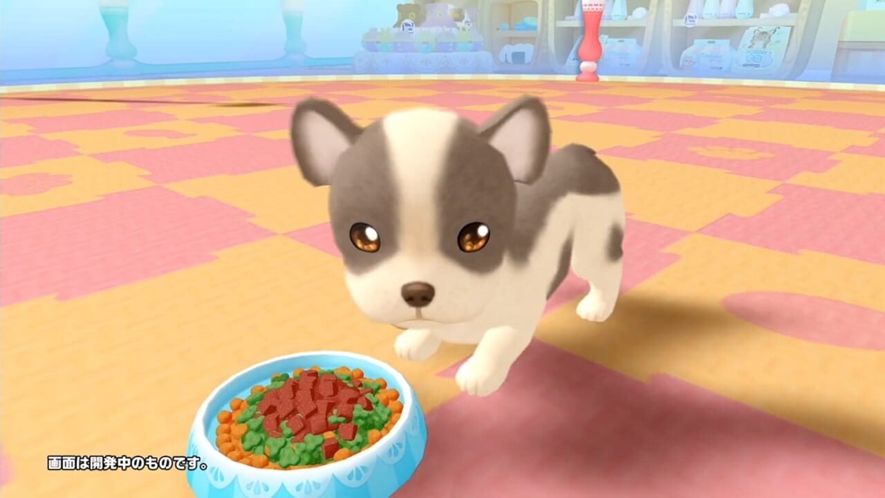 Screenshot for Pups & Purrs Pet Shop