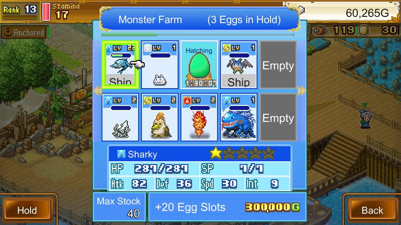 Screenshot for High Sea Saga DX