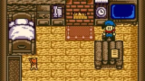 Screenshot for Harvest Moon GBC