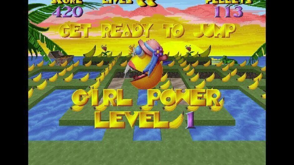 Screenshot for 3D Ms. Maze: Tropical Adventures
