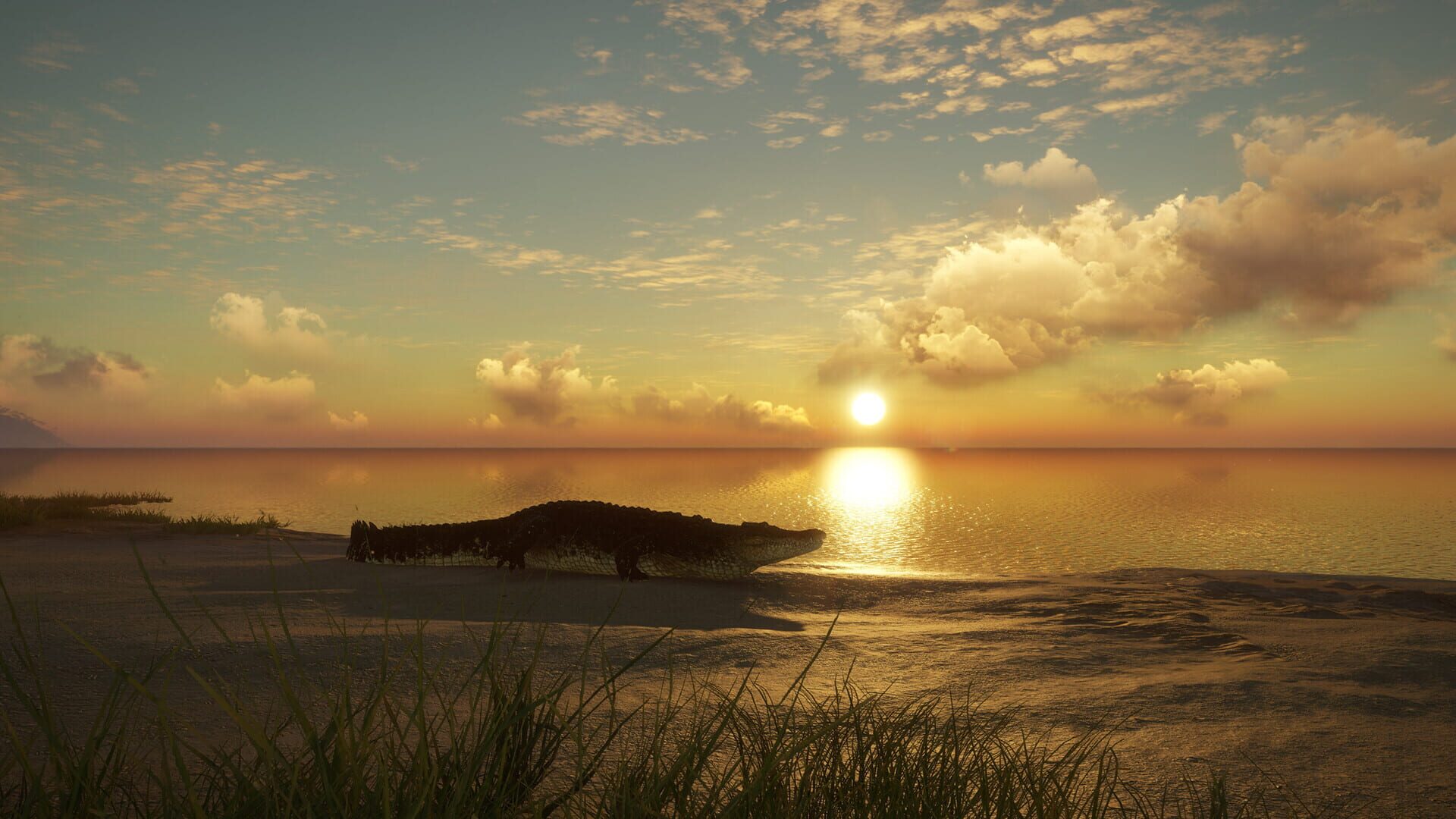 Screenshot for theHunter: Call of the Wild - Emerald Coast Australia