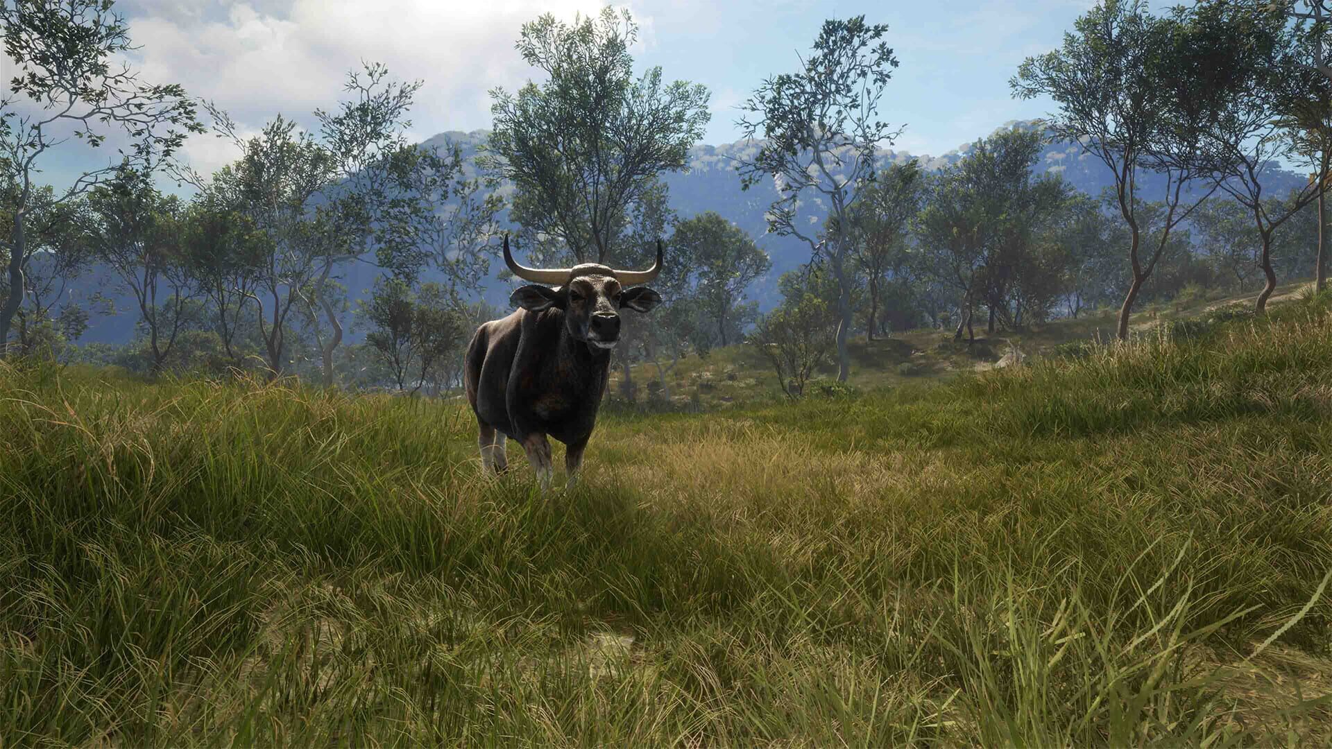 Screenshot for theHunter: Call of the Wild - Emerald Coast Australia
