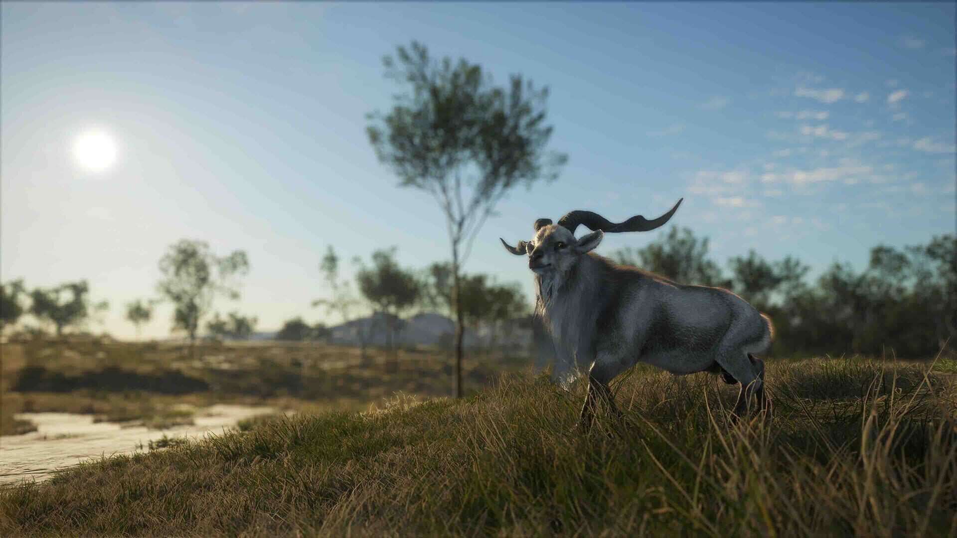 Screenshot for theHunter: Call of the Wild - Emerald Coast Australia
