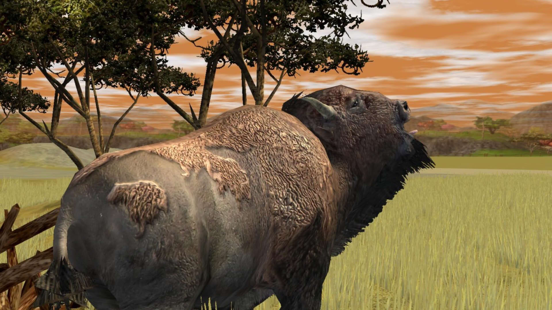 Screenshot for Wildlife Park 2: Crazy Zoo