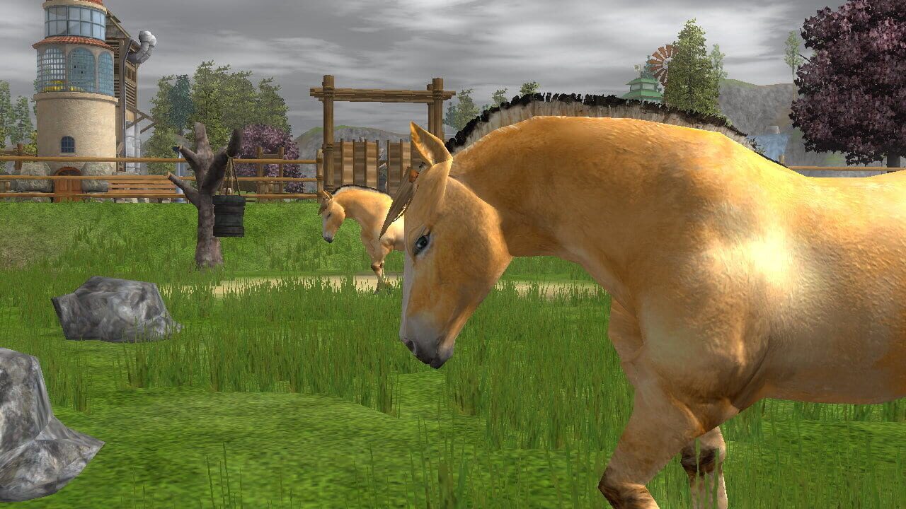 Screenshot for Wildlife Park 2: Horses