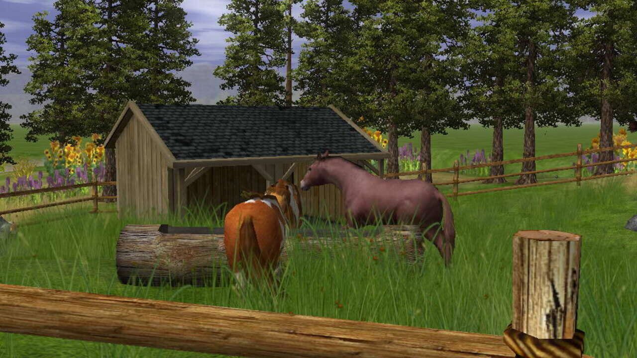 Screenshot for Wildlife Park 2: Horses