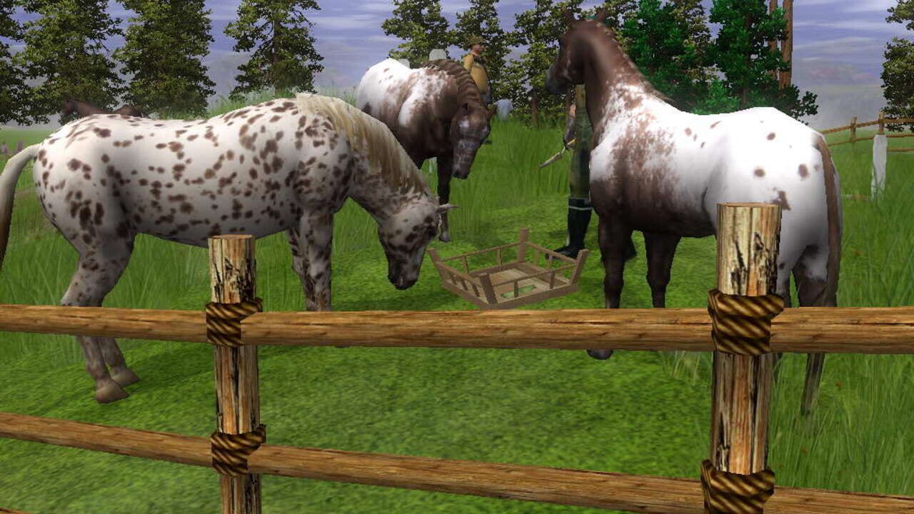 Screenshot for Wildlife Park 2: Horses